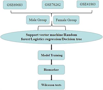 Genetic biomarker prediction based on gender disparity in asthma throughout machine learning